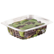 Dart CLEARPAC CLEAR CONTAINER LIDS, 6 1/2 X 7 1/2, CLEAR, 504/CARTON (DCCC32DLR)