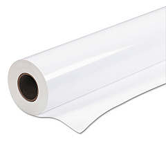 Epson Premium Glossy Photo Paper Roll, 2" Core, 7 mil, 44" x 100 ft, Glossy White (EPSS041392)