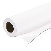 Epson Premium Glossy Photo Paper Roll, 2" Core, 10 mil, 16.5" x 100 ft, Glossy White (EPSS042076)