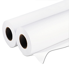 Epson Enhanced Photo Paper Roll, 3" Core, 10 mil, 64" x 100 ft, Matte White (EPSS042135)
