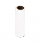 Epson PROOFING PAPER ROLL, 7.1 MIL, 17" X 100 FT, WHITE (S042145)