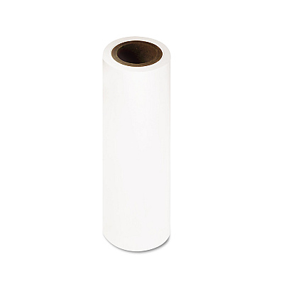 Epson Proofing Paper Roll, 7.1 mil, 17" x 100 ft, White (EPSS042145)