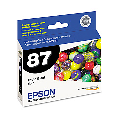 Epson T087120 (87) UltraChrome Hi-Gloss 2 Ink, Black