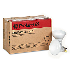 GE Incandescent Soft White BR30 Light Bulb, 65 W, 6/Carton (GEL24705)