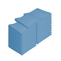 Mariposa Poly Spun Napkin 20x20 Light Blue, Pack Of 25 (P-NAP-LTBLU-SPN)