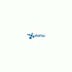 Ekahau Ecse Troubleshooting Class- Online Seat (ECSE4TRBLSHOOTSEATONL)