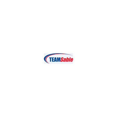 Team Research 2.5 Sata Iii 256gb (30TT253X2256G)