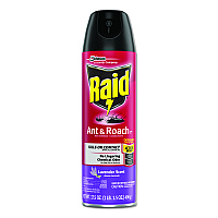 Raid Ant & Roach Killer Spray (386221)