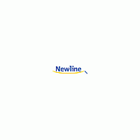 Newline Interactive On-board Computer (4k) (EPR8A65800000)