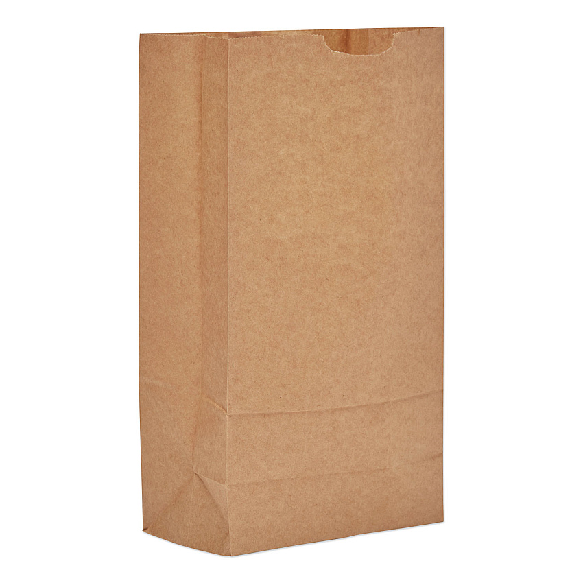 General Grocery Paper Bags, #10 Size, 6.31" x 4.19" x 13.38", Natural, 500/Bundle (BAGGK10500)