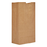 General Grocery Paper Bags, Extra-Heavy-Duty, #20 Size, 8.25" x 5.94" x 16.13", Natural, 500/Bundle (BAGGX2060)