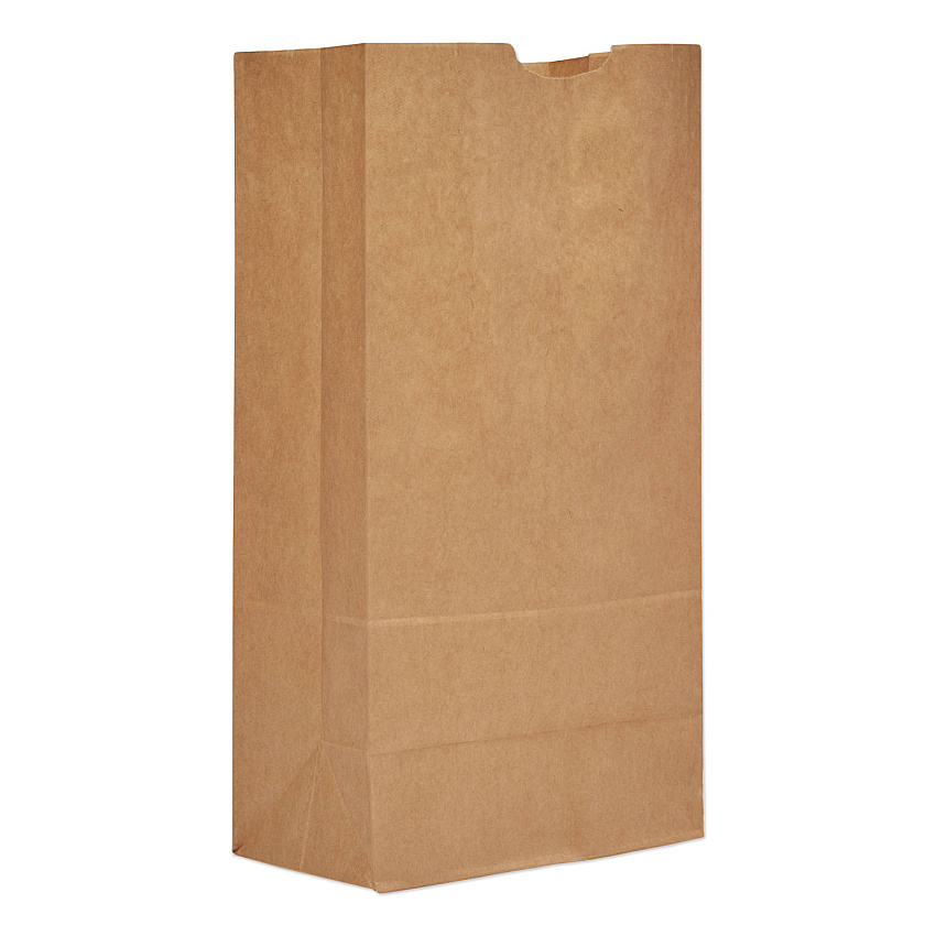 General Grocery Paper Bags, Extra-Heavy-Duty, #20 Size, 8.25" x 5.94" x 16.13", Natural, 500/Bundle (BAGGX2060)