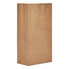 General Grocery Paper Bags, Extra-Heavy-Duty, #5 Size, 5.25" x 3.44" x 10.94", Natural, 500/Bundle (BAGGX5500)