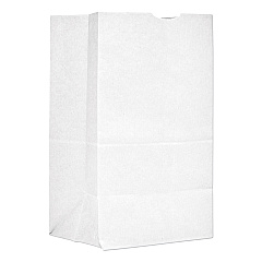 General Grocery Paper Bags, #20 Squat Size, 8.25" x 5.94" x 13.38", White, 500/Bundle (BAGGW20S500)
