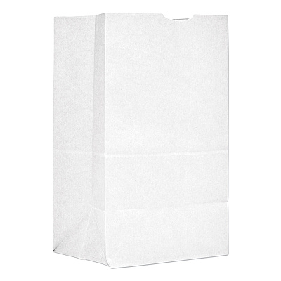 General Grocery Paper Bags, #20 Squat Size, 8.25" x 5.94" x 13.38", White, 500/Bundle (BAGGW20S500)