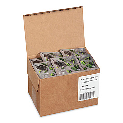 Bigelow steep Cafe  Organic Black Tea, English Breakfast, 50 Bags/Carton (BTCRCB19971)