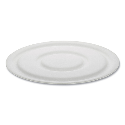 Pactiv Evergreen Cake Circle, 9" Diameter x 1"h, White, Foam, 125/Pack, 4 Packs/Carton (PCT60900000)