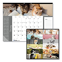 Blueline Pets Collection Monthly Desk Pad, Furry Kittens Photography, 22 x 17, White Sheets, Black Binding, 12-Month (Jan-Dec): 2026 (C194115)