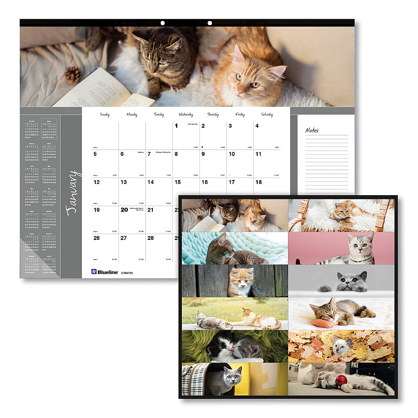 Blueline Pets Collection Monthly Desk Pad, Furry Kittens Photography, 22 x 17, White Sheets, Black Binding, 12-Month (Jan-Dec): 2026 (C194115)
