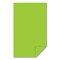 Astrobrights Color Paper, 24 lb Bond Weight, 8.5 x 14, Terra Green, 500/Ream (WAU22582)