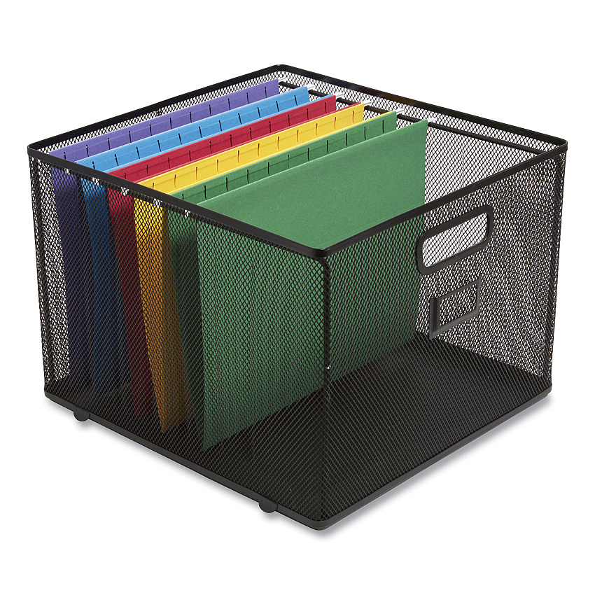 TRU RED Wire Mesh File Organizer, Letter Size, 13.98" Long, Black (TUD24402487)