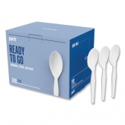 Perk Mediumweight Plastic Cutlery, Teaspoon, White, 300/Pack (24391001)