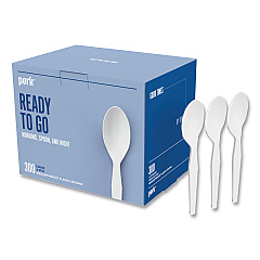 Perk Mediumweight Plastic Cutlery, Teaspoon, White, 300/Pack (PRK24391001)