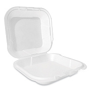 Plastifar Foam Hinged Lid Container, Secure Two Tab Latch, Poly Bag, 9 x 9 x 3, White, 100/Bag, 2 Bags/Carton (PST12095)