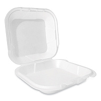 Plastifar Foam Hinged Lid Container, Secure Two Tab Latch, Poly Bag, 9 x 9 x 3, White, 100/Bag, 2 Bags/Carton (PST12095)
