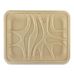 World Centric Fiber Trays, 1-Compartment, 9.1 x 7.1 x 0.7, Natural, Paper, 500/Carton (WORTRSC4S)