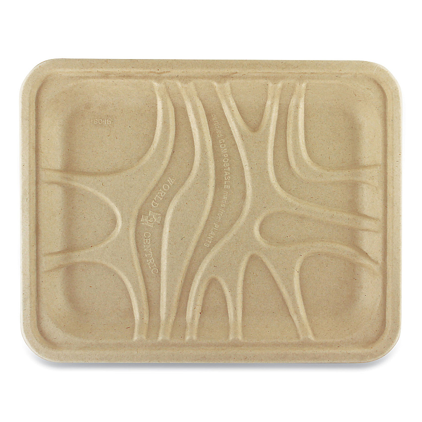 World Centric Fiber Trays, 1-Compartment, 9.1 x 7.1 x 0.7, Natural, Paper, 500/Carton (WORTRSC4S)