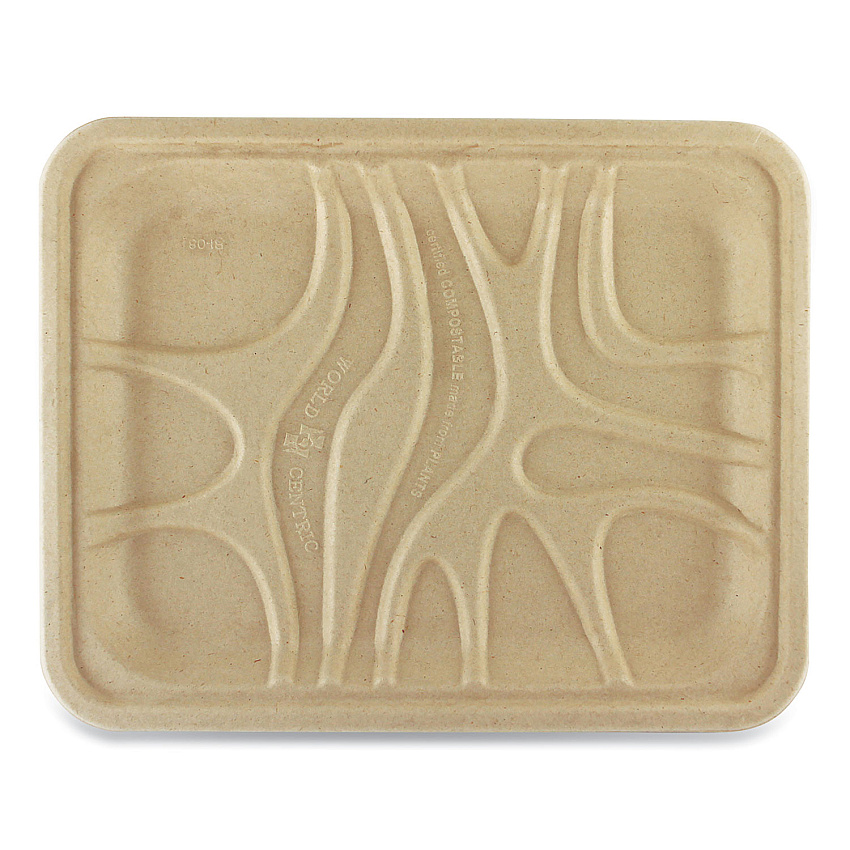 World Centric Fiber Trays, PLA Lined, PFAS Free, 1-Compartment, 9.1 x 7.1 x 0.7, Natural, Paper, 500/Carton (WORTRSC4SLLF)