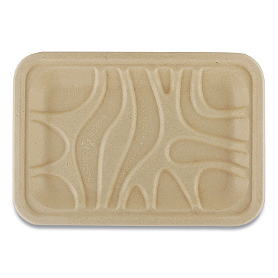 World Centric Fiber Trays, PLA Lined, PFAS Free, 1-Compartment, 8.2 x 5.7 x 0.7, Natural, Paper, 500/Carton (WORTRSC2SLLF)