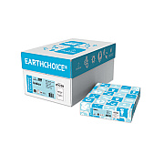 Domtar EarthChoice Cover Stock, Index, 96 Bright, 110 lb Index Weight, 8.5 x 11, Bright White, 250/Pack (DMR81038)