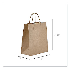 Prime Time Packaging Kraft Paper Bags, Natural Twisted-Paper Handles, Regal Size, 12" x 9" x 15.75", Natural, 200/Carton (PTENK12916)