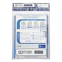 Control Papers TripLOK Series A Tamper-Evident Bags, 9 x 12, Clear, 100/Pack (CNK585028)