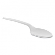 Pactiv Evergreen Fieldware Cutlery, Spoon, Mediumweight, White, 1,000/Carton (YFWSWCH)