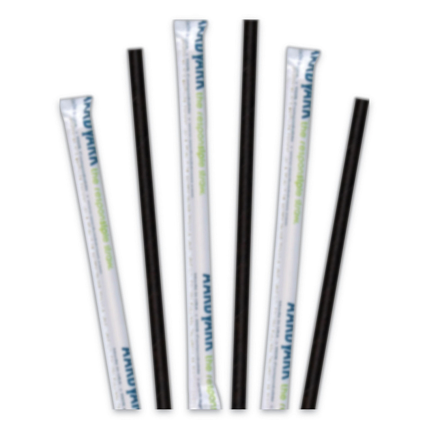 Hoffmaster Aardvark Paper Straws, 5.75", Black, 3,200/Carton (HFM61612099)