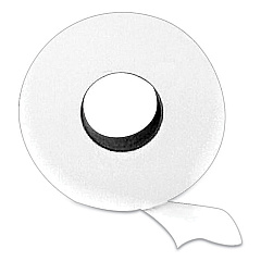 Eco Green Recycled 2-Ply Jumbo Toilet Paper, Septic Safe, White, 3.55" x 1,000 ft, 12 Rolls/Carton (APAEJ932)