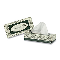 Floral Soft White Facial Tissue, 2-Ply, 100 Sheets/Box, 30 Boxes/Carton (APAF100)