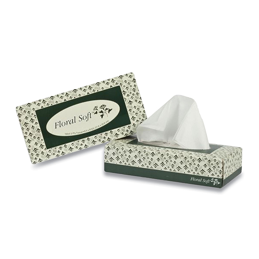 Floral Soft White Facial Tissue, 2-Ply, 100 Sheets/Box, 30 Boxes/Carton (APAF100)