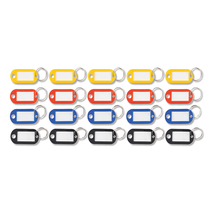 Advantus Key Tags Label Window, 0.88 x 0.19 x 2, Assorted, 20/Pack (AVTKEY98007)