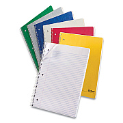 Oxford One-Subject Notebook, Medium/College Rule, Assorted Cover Colors, (100) 11 x 9 Sheets, 6/Pack (OXF25009R)