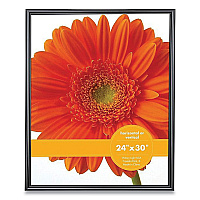 Victory Light Plastic Poster Frame, 24 x 30 Insert, Black (VLUVF0023B2430)