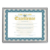 Victory Light U-Channel Document Frame, 8.5 x 11, Silver (VLUVS4503B811S)