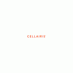 Cellairis - Shell Shock - Ss S22 Super Anti-impact (compatible W/ Fingerprint Id, Bulk) (110078102BK)
