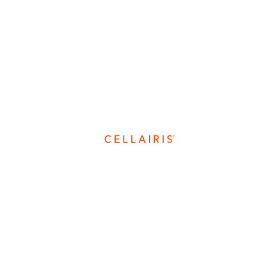 Cellairis Rapture - Apple Iphone 14 Plus Black Matte W/ Magsafe (830029006)