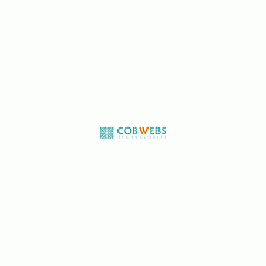 Cobwebs America Additional Lynx Named User (CWOPTTNLYLOGID01)