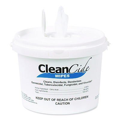 Wexford Labs CleanCide Disinfecting Wipes, 1-Ply, 8 x 5.5, Fresh Scent, White, 400/Tub (WXF3130B400DEA)