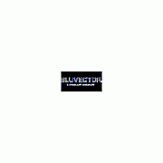 BluVector Bv Subscription For Empty Chassis 3 Yr (BVSUBCHASSIS3YR)